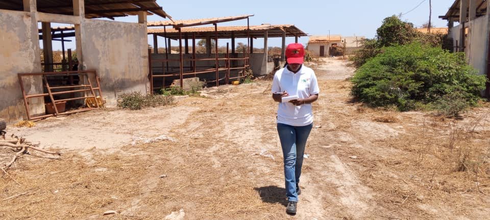 Mme Ndèye Ndjira Faye sur le terrain
